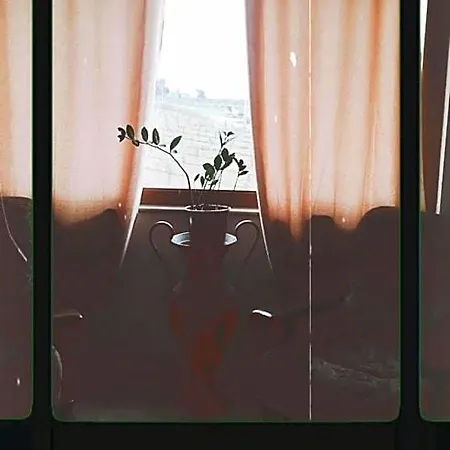 Jenny's House